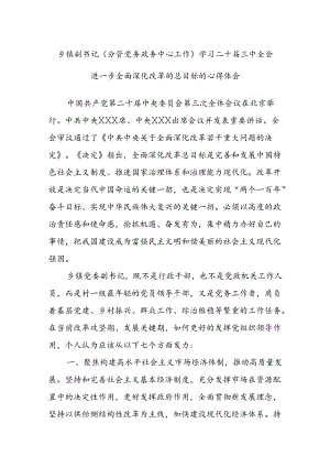 乡镇副书记(分管党务政务中心工作)学习二十届三中全会进一步全面深化改革的总目标的心得体会.docx