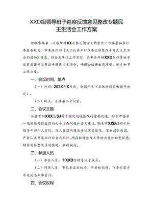 D组领导班子巡察反馈意见整改专题民主生活会工作方案.docx