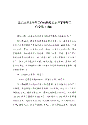 2024年上半年工作总结及2024年下半年工作安排（乡镇）（6篇）.docx