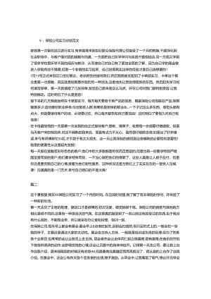 保险公司实习总结.docx