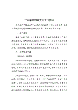 2024年某公司党支部工作要点.docx