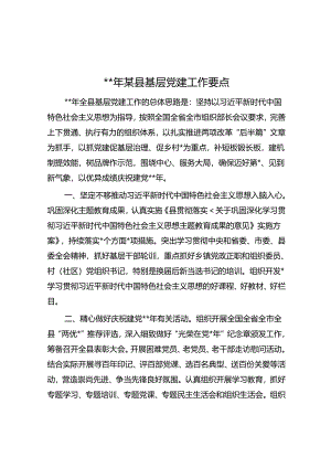 2024年某县基层党建工作要点.docx