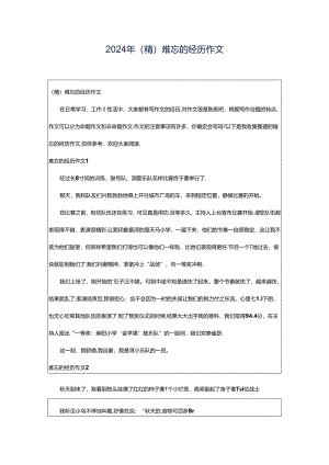 2024年（精）难忘的经历作文.docx