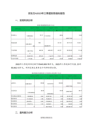 000725京东方A2023年三季度财务指标报告.docx