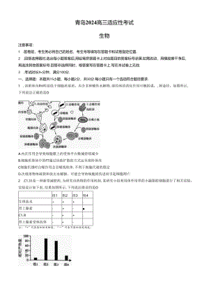 2024山东省青岛三模（试卷+答案）.docx