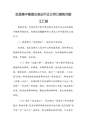2024年集中整治群众身边不正之风和腐败问题工作汇报范文.docx