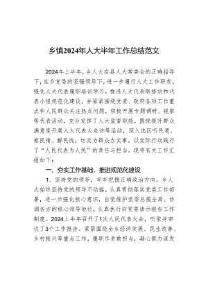 2024年人大半年工作总结汇报报告.docx