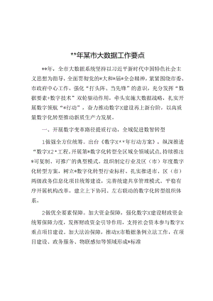 2024年某市大数据工作要点.docx
