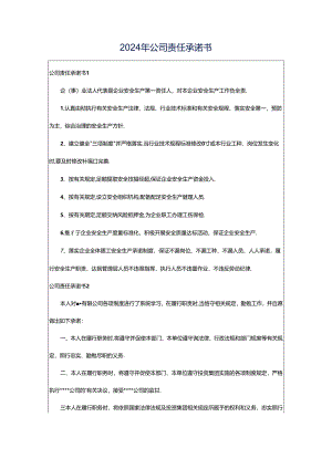 2024年公司责任承诺书.docx
