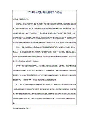 2024年公司财务试用期工作总结.docx