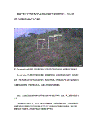 人工智能结合成像技术用于濒危动物保护.docx