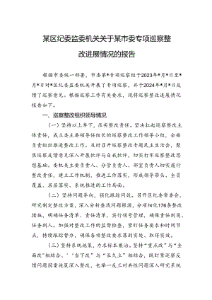 2024年某区纪委监委机关关于某市委专项巡察整改进展情况的报告.docx