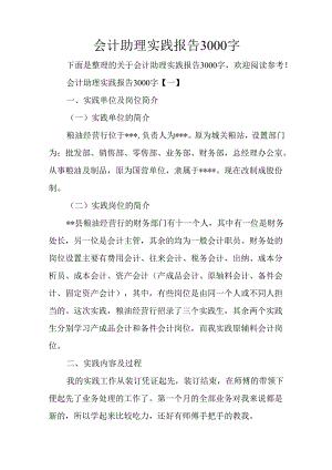 会计助理实践报告3000字.docx