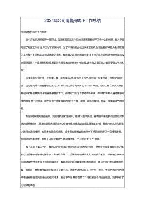 2024年公司销售员转正工作总结.docx