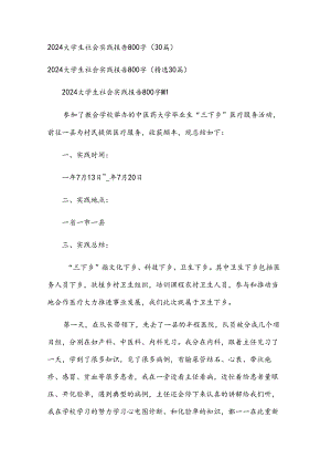2024大学生社会实践报告800字（30篇）.docx