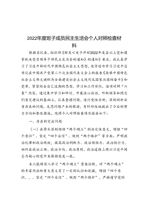 2022年度班子成员民主生活会个人对照检查材料.docx