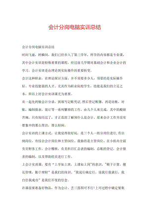 会计分岗电脑实训总结.docx