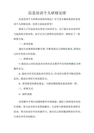 信息培训个人研修计划.docx