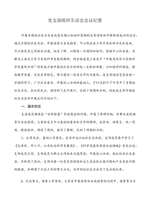 党支部组织生活会会议纪要.docx