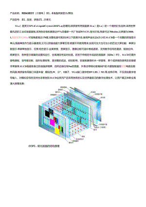 REAGEDYSLCD液晶拼接显示系统介绍.docx