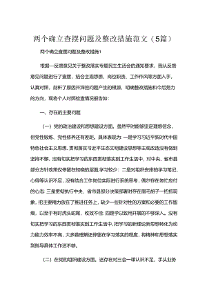 两个确立查摆问题及整改措施范文(5篇).docx