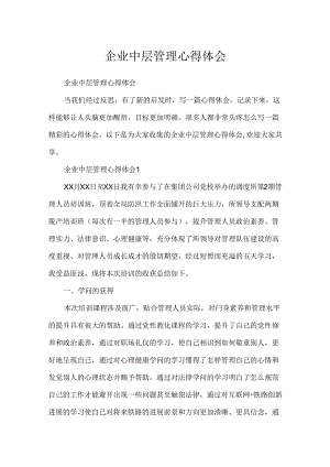 企业中层管理心得体会.docx