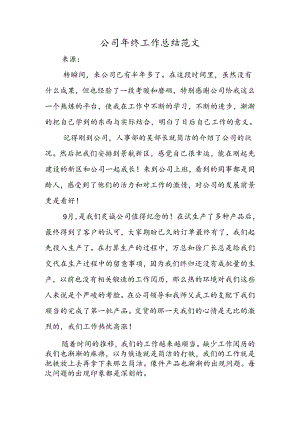 公司年终工作总结范文.docx