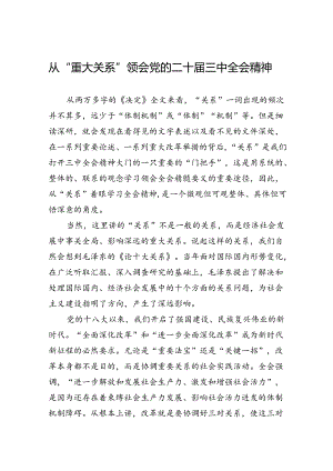 从“重大关系”领会党的二十届三中全会精神.docx