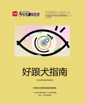 【电商行业市场报告】「小红书好眼光指南」618新生活购物趋势洞察报告.docx