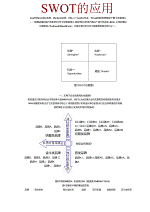 SWOT的应用及案例分析(图解).docx