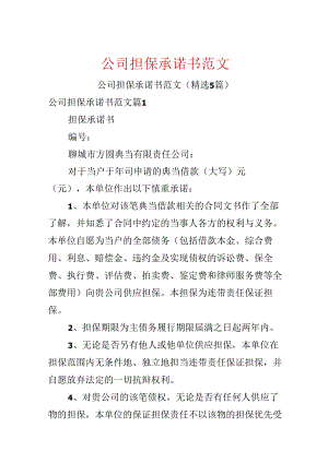 公司担保承诺书范文.docx