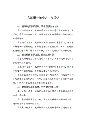 入职满一年个人工作总结.docx