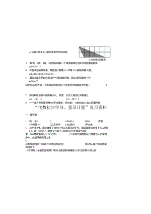代数初步知识量与计量复习资料.docx