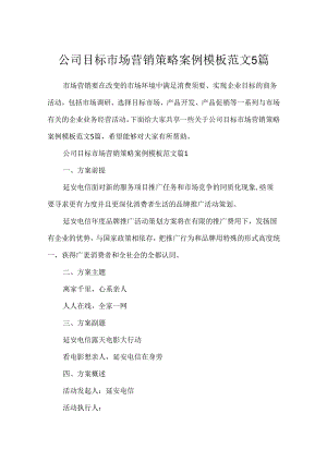 公司目标市场营销策略案例模板范文5篇.docx
