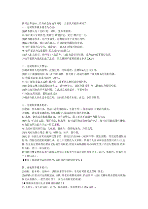 仓鼠吃什么？.docx