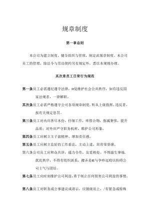 公司规章(详细版).docx
