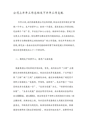 公司上半年工作总结及下半年工作计划.docx