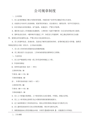 公司规章制度.docx
