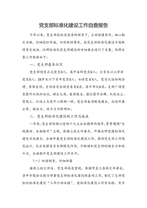 党支部标准化建设工作自查报告.docx
