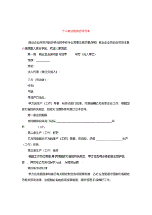 个人商业租房合同范本.docx