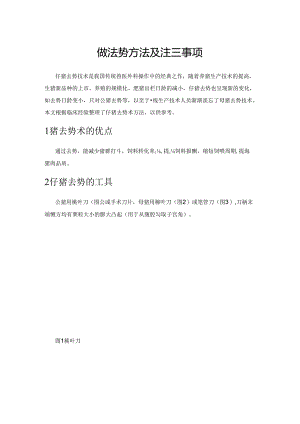 仔猪去势方法及注意事项.docx