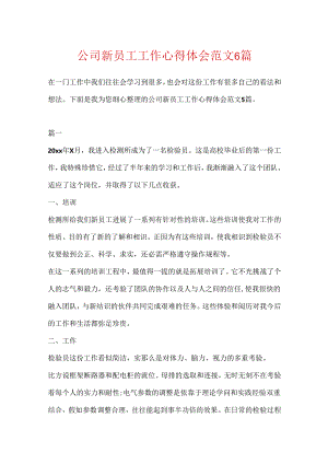 公司新员工工作心得体会范文6篇.docx