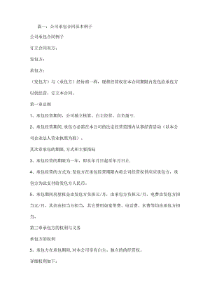 公司承包合同范本.docx