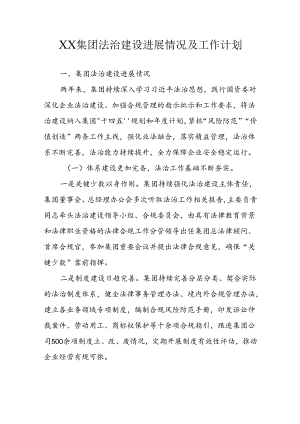 XX集团法治建设进展情况及工作计划.docx