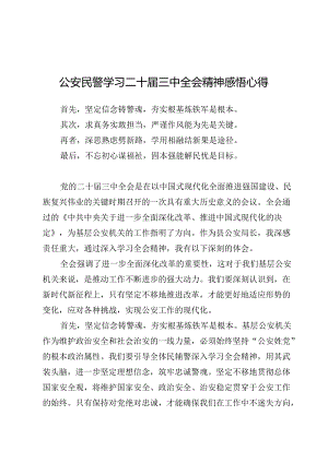 公安民警学习二十届三中全会精神感悟心得10篇.docx