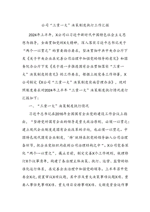 公司“三重一大”决策制度执行工作汇报.docx