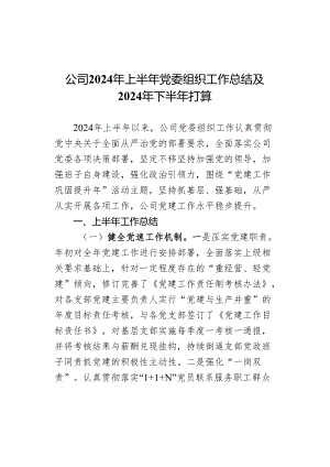 公司2024年上半年党委组织工作总结及2024年下半年打算.docx