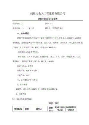 公司模板评级报告(DOC).docx
