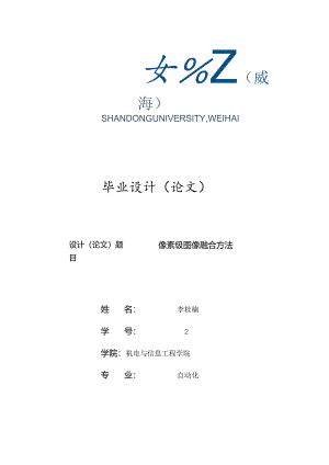 像素级图像融合.docx