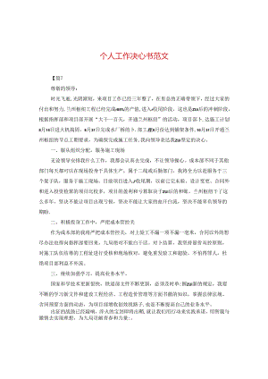 个人工作决心书范文.docx